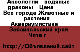 Аксолотли / водяные драконы › Цена ­ 500 - Все города Животные и растения » Аквариумистика   . Забайкальский край,Чита г.